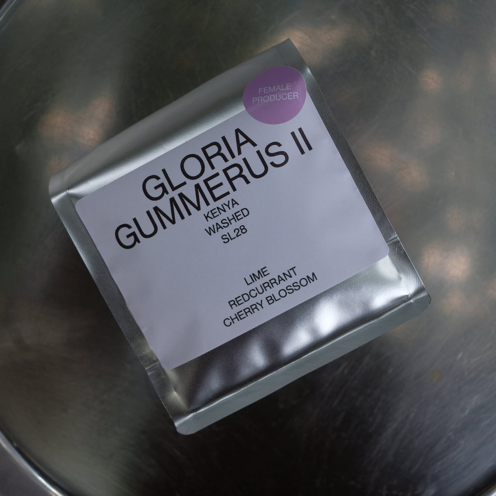 GLORIA GUMMERUS II
