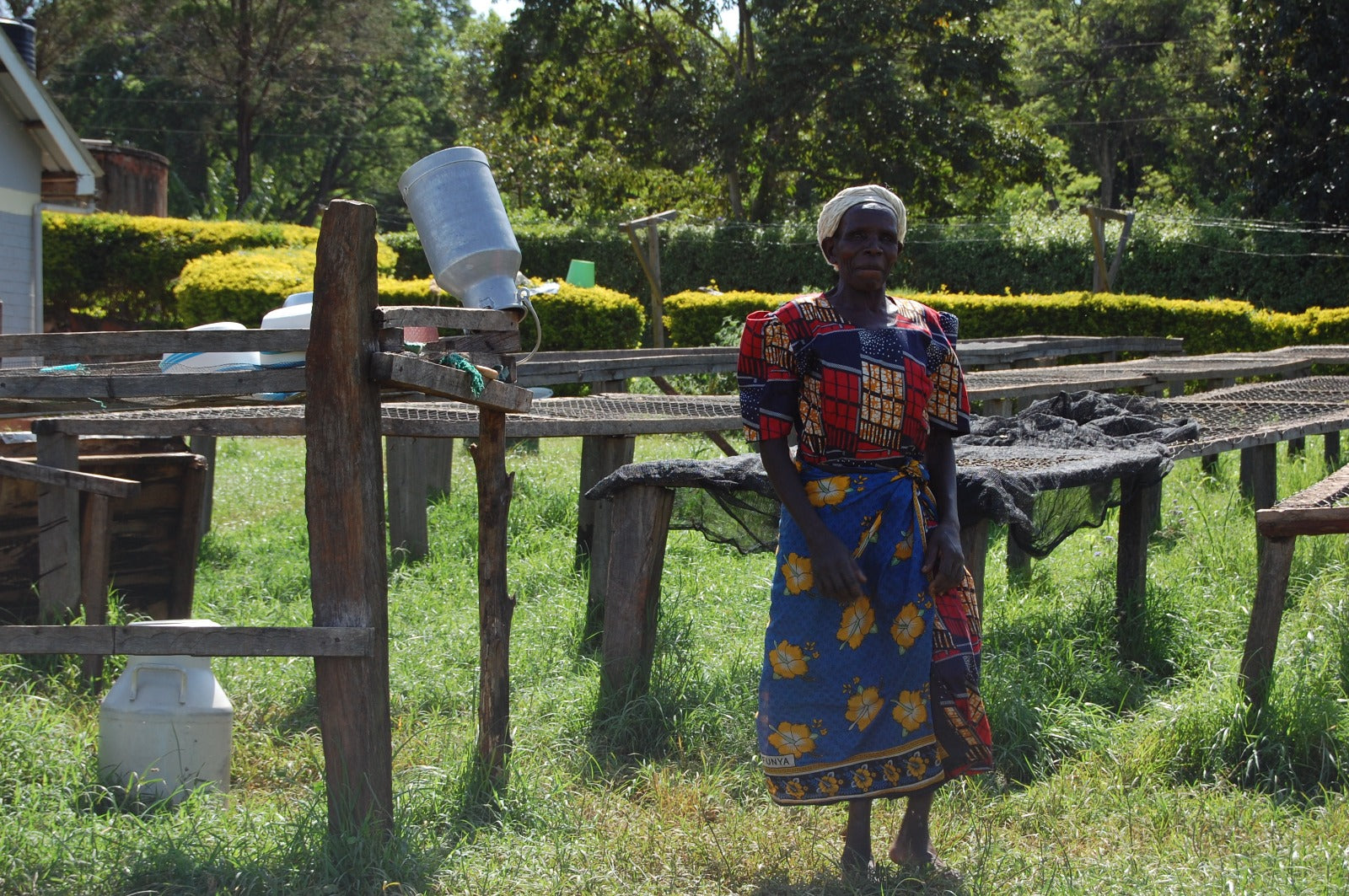 GLORIA GUMMERUS